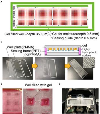 Low-cost gel-filled <mark class="highlighted">microwell</mark> array device for screening marine microbial consortium